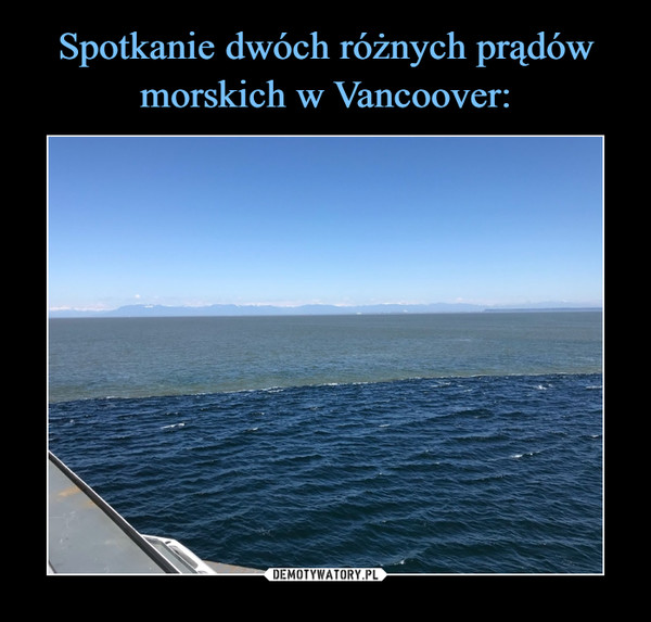 Spotkanie dwóch różnych prądów morskich w Vancoover: