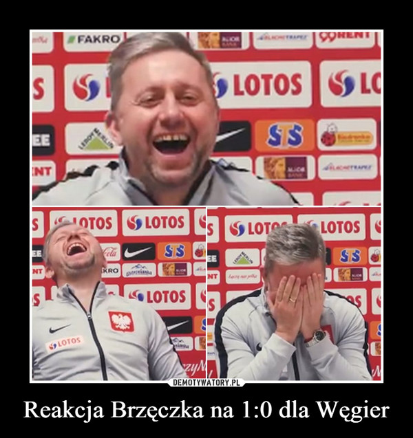 Reakcja Brzęczka na 1:0 dla Węgier