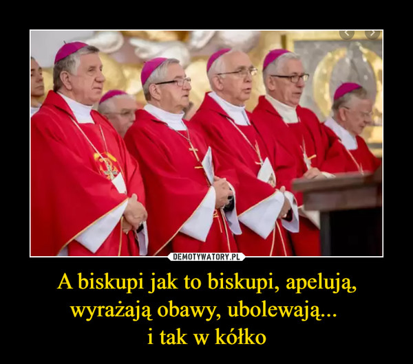 A biskupi jak to biskupi, apelują, wyrażają obawy, ubolewają... i tak w kółko –  