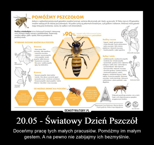 20.05 - Światowy Dzień Pszczół