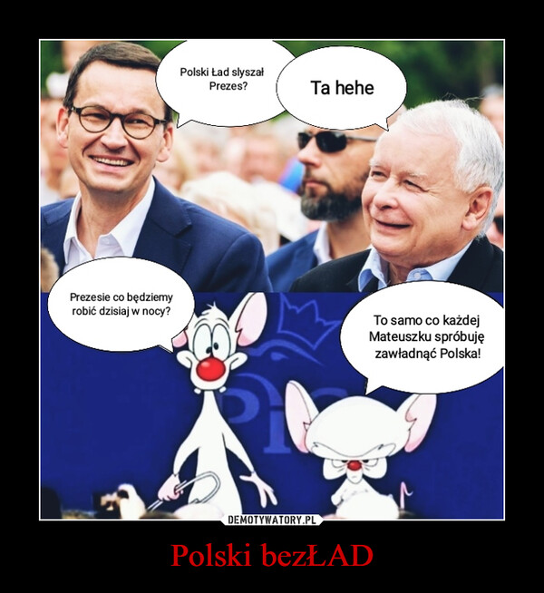 Polski bezŁAD –  