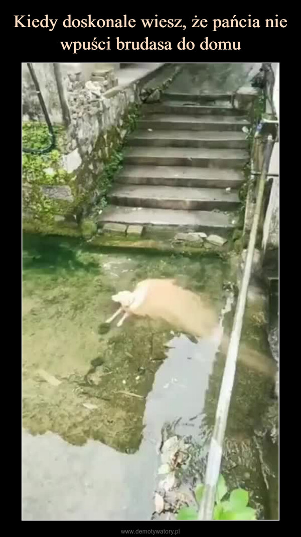  –  