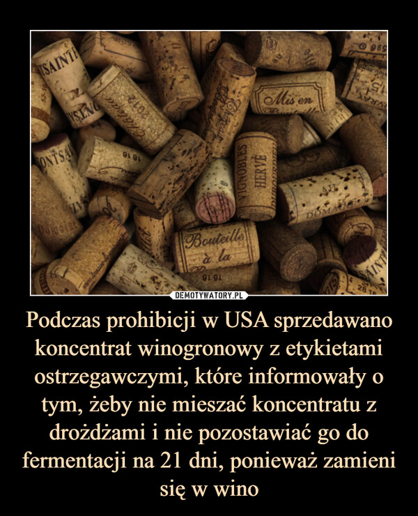 Podczas prohibicji w USA sprzedawano koncentrat winogronowy z etykietami ostrzegawczymi, które informowały o tym, żeby nie mieszać koncentratu z drożdżami i nie pozostawiać go do fermentacji na 21 dni, ponieważ zamieni się w wino
