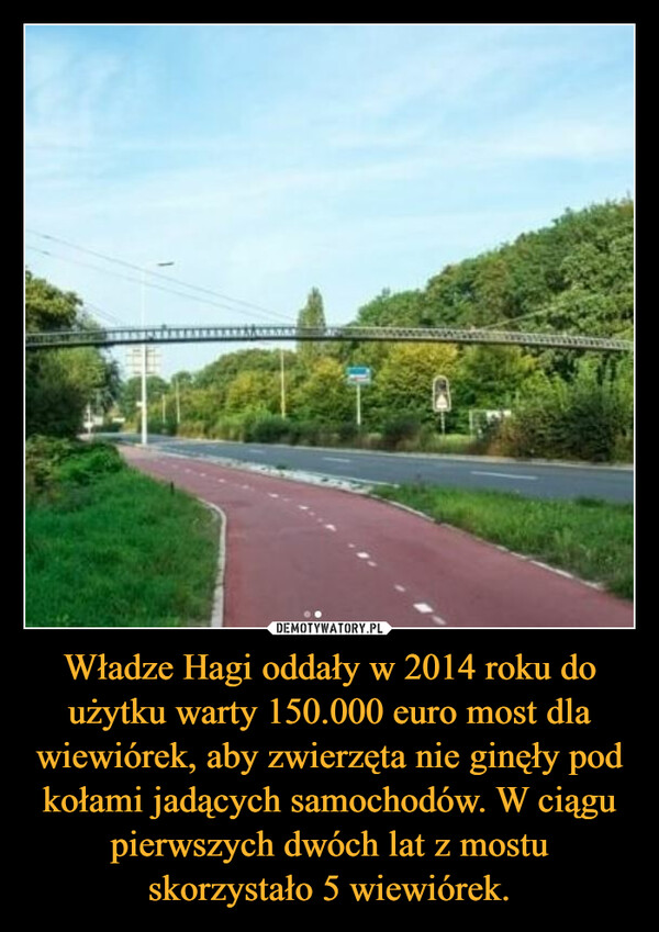 Władze Hagi oddały w 2014 roku do użytku warty 150.000 euro most dla wiewiórek, aby zwierzęta nie ginęły pod kołami jadących samochodów. W ciągu pierwszych dwóch lat z mostu skorzystało 5 wiewiórek.