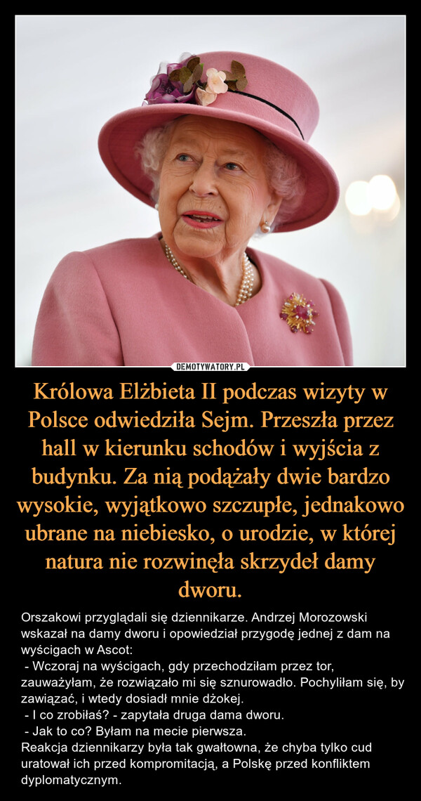 Królowa Elżbieta II podczas wizyty w Polsce odwiedziła Sejm. Przeszła przez hall w kierunku schodów i wyjścia z budynku. Za nią podążały dwie bardzo wysokie, wyjątkowo szczupłe, jednakowo ubrane na niebiesko, o urodzie, w której natura nie rozwinęła skrzydeł damy dworu.