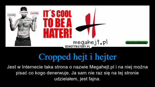 Cropped hejt i hejter – Jest w Internecie taka strona o nazwie Megahejt.pl i na niej można pisać co kogo denerwuje. Ja sam nie raz się na tej stronie udzielałem, jest fajna. 