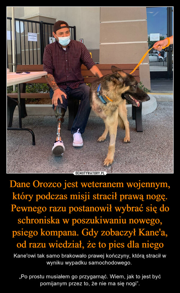 Dane Orozco jest weteranem wojennym, który podczas misji stracił prawą nogę. Pewnego razu postanowił wybrać się do schroniska w poszukiwaniu nowego, psiego kompana. Gdy zobaczył Kane'a, od razu wiedział, że to pies dla niego
