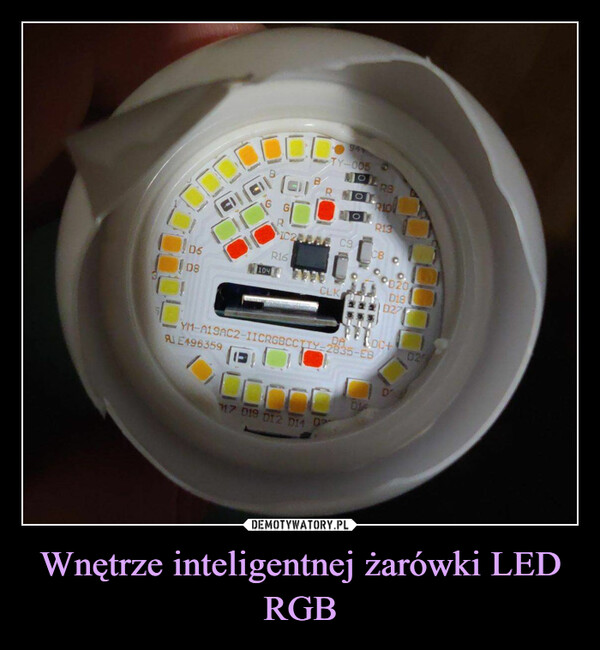 Wnętrze inteligentnej żarówki LED RGB –  