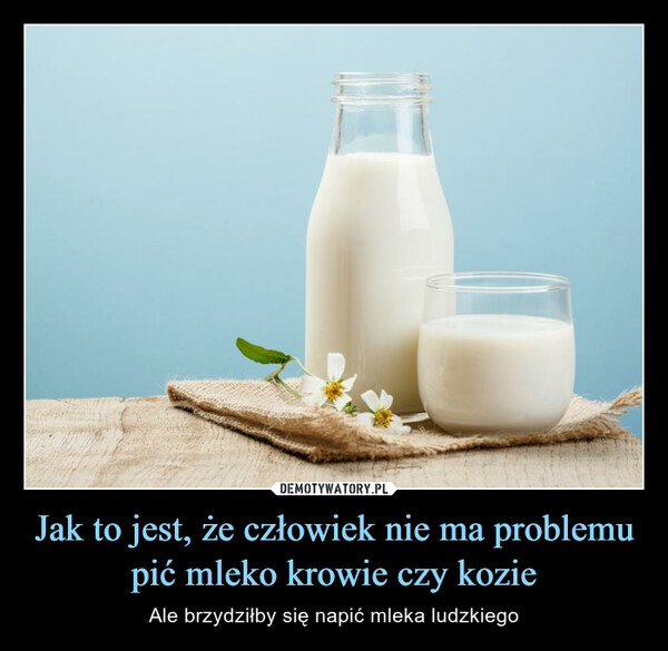 Jak to jest, że człowiek nie ma problemu pić mleko krowie czy kozie – Ale brzydziłby się napić mleka ludzkiego 