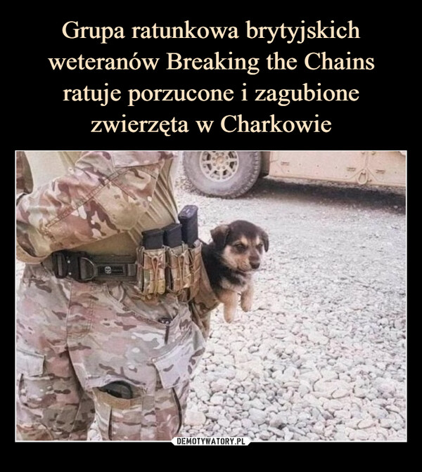 Grupa ratunkowa brytyjskich weteranów Breaking the Chains ratuje porzucone i zagubione zwierzęta w Charkowie