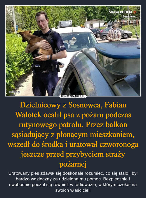 Dzielnicowy z Sosnowca, Fabian Walotek ocalił psa z pożaru podczas rutynowego patrolu. Przez balkon sąsiadujący z płonącym mieszkaniem, wszedł do środka i uratował czworonoga jeszcze przed przybyciem straży pożarnej