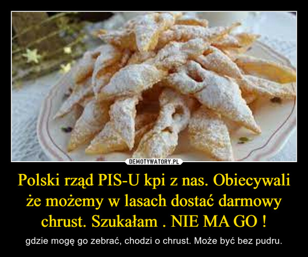 Polski rząd PIS-U kpi z nas. Obiecywali że możemy w lasach dostać darmowy chrust. Szukałam . NIE MA GO !