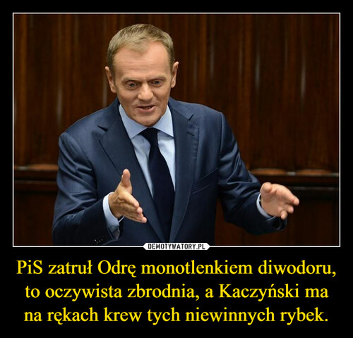 PiS zatruł Odrę monotlenkiem diwodoru, to oczywista zbrodnia, a Kaczyński ma na rękach krew tych niewinnych rybek.