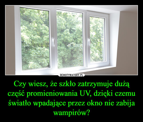 Czy wiesz, że szkło zatrzymuje dużą część promieniowania UV, dzięki czemu światło wpadające przez okno nie zabija wampirów?