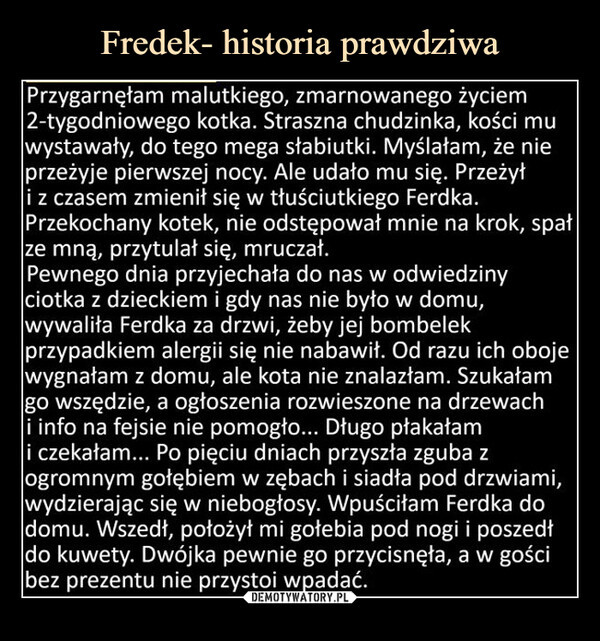  –  Historia, która niedawno wydarzyła się w moim mieście. Mój sąsiad jeździł po pijaku i ktoś na niego doniósł. Zabrali mu prawko i dostał grzywnę. Wk*rwił się, znalazł kapusia, w kilku kumpli pobili go i facet trafił do szpitala. Sąsiadowi założyli za to bransoletkę na nogę i toczyły się przeciwko niemu jakieś sprawy. W tym czasie facet w szpitalu zmarł i sąsiad trafił za kratki