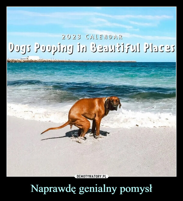 Naprawdę genialny pomysł –  dogs pooping in beautiful places