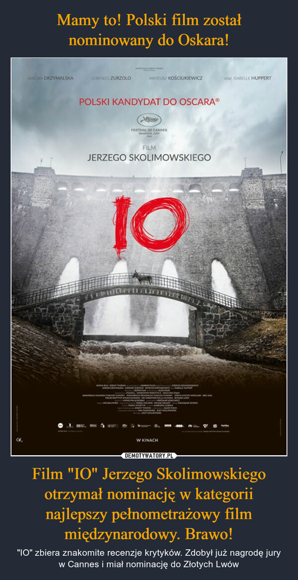 Film "IO" Jerzego Skolimowskiego otrzymał nominację w kategorii najlepszy pełnometrażowy film międzynarodowy. Brawo! – "IO" zbiera znakomite recenzje krytyków. Zdobył już nagrodę jury w Cannes i miał nominację do Złotych Lwów 