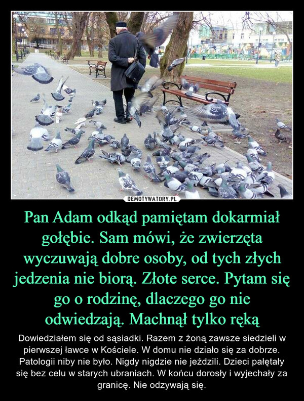 Pan Adam odkąd pamiętam dokarmiał gołębie. Sam mówi, że zwierzęta wyczuwają dobre osoby, od tych złych jedzenia nie biorą. Złote serce. Pytam się go o rodzinę, dlaczego go nie odwiedzają. Machnął tylko ręką