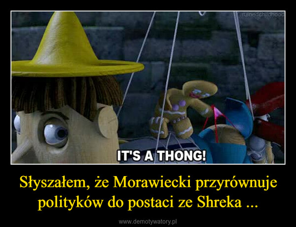Słyszałem, że Morawiecki przyrównuje polityków do postaci ze Shreka ... –  IT'S A THONG!ruinedchildhood