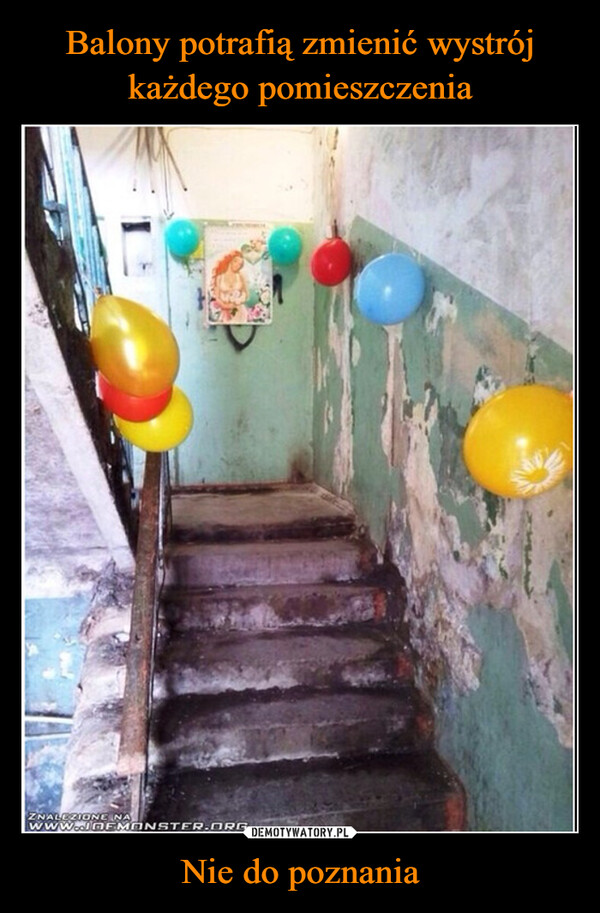 Balony potrafią zmienić wystrój każdego pomieszczenia Nie do poznania
