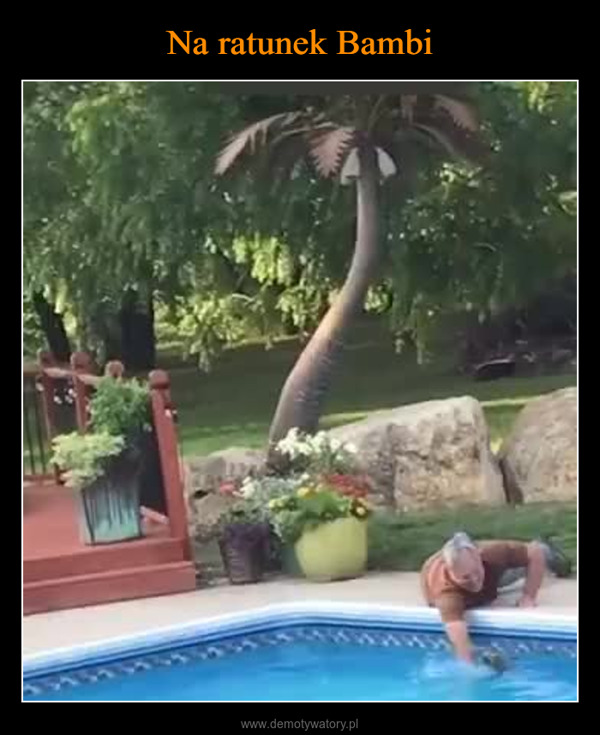  –  