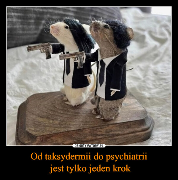 Od taksydermii do psychiatrii jest tylko jeden krok –  