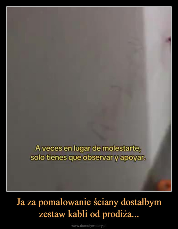 Ja za pomalowanie ściany dostałbym zestaw kabli od prodiża... –  A veces en lugar de molestarte,solo tienes que observar y apoyar.