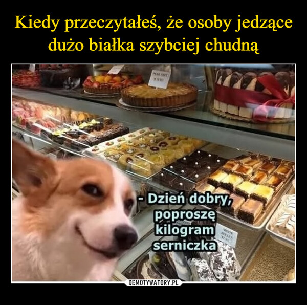  –  YEAR SMY- Dzień dobry,poproszękilogramserniczkaHOLLXY