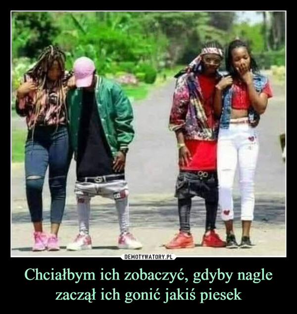 Chciałbym ich zobaczyć, gdyby nagle zaczął ich gonić jakiś piesek –  