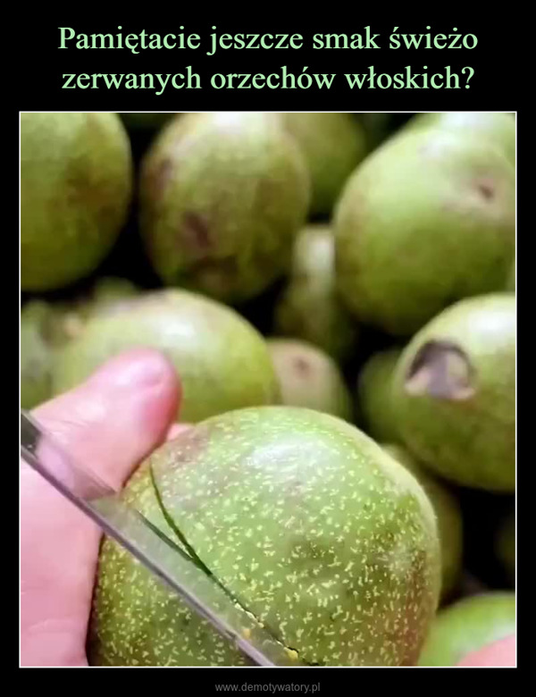  –  