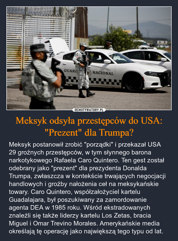 Meksyk odsyła przestępców do USA: "Prezent" dla Trumpa? – Meksyk postanowił zrobić "porządki" i przekazał USA 29 groźnych przestępców, w tym słynnego barona narkotykowego Rafaela Caro Quintero. Ten gest został odebrany jako "prezent" dla prezydenta Donalda Trumpa, zwłaszcza w kontekście trwających negocjacji handlowych i groźby nałożenia ceł na meksykańskie towary. Caro Quintero, współzałożyciel kartelu Guadalajara, był poszukiwany za zamordowanie agenta DEA w 1985 roku. Wśród ekstradowanych znaleźli się także liderzy kartelu Los Zetas, bracia Miguel i Omar Trevino Morales. Amerykańskie media określają tę operację jako największą tego typu od lat. JAMODAGUARNACIONAL