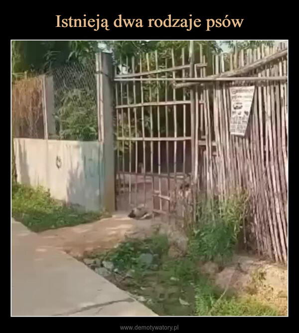  –  