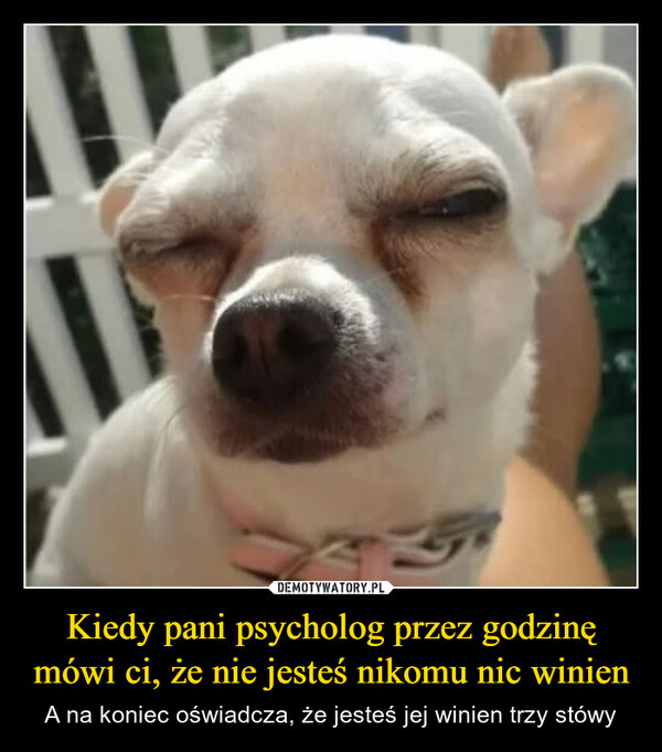 Kiedy pani psycholog przez godzinę mówi ci, że nie jesteś nikomu nic winien – A na koniec oświadcza, że jesteś jej winien trzy stówy 