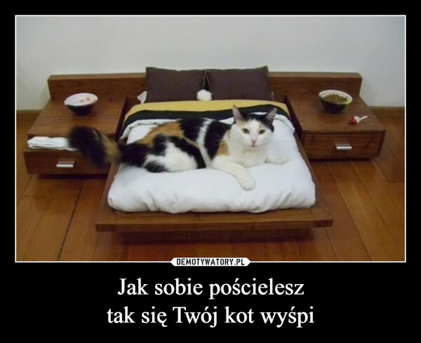 Jak sobie pościelesztak się Twój kot wyśpi –  