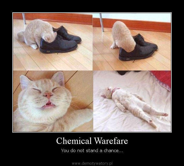 Chemical Warefare – You do not stand a chance...  